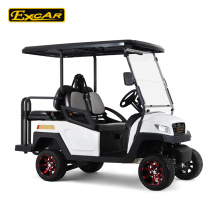 Electric Fuel Type and CE Certification Golf Cart 1-2 seats 2015 New design cheap electric golf cart